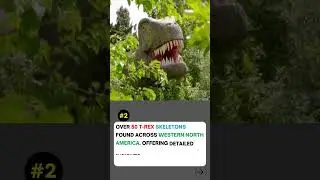 Fun Facts About Dinosaurs That’ll Blow Your Mind
