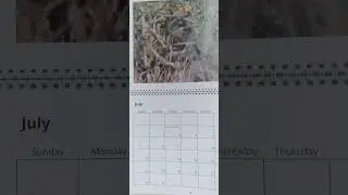 🇿🇦❣🇿🇦