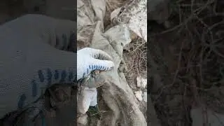 Геотекстиль Дорнит. Вещь!