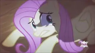 Stop the bats  Reversed
