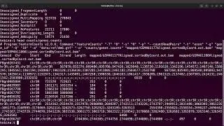 featurecount on multiple bam files