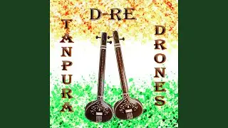 Tanpura Drone in D (Bordone in RE)