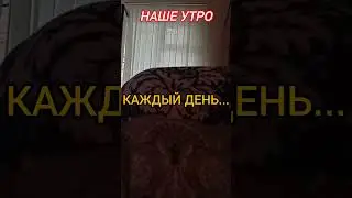 И ТАК КАЖДЫЙ ДЕНЬ...