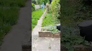 Is that the King Hiding in the Grass ?