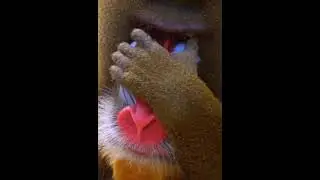 so beautiful 