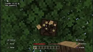 Primeiro episódio de minecraft