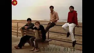 Grizzly Bear - Taken Down