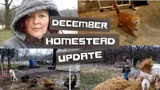 What's going on at GFY Farms?
