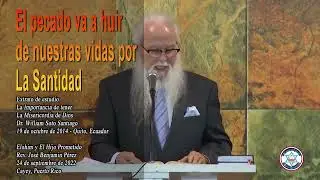 El pecado va a huir de nuestras vidas por la Santidad