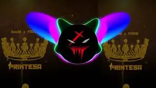 DooM x FRDM - Printesa (10 ORE) ( Принцесса | COVER in romana)
