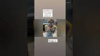 🥰🥰🥰🥰