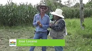 Added value in livestock farming
