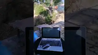 One of the best Site View
