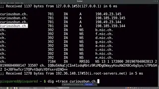 InternetZ - E03: What happens when... you type curiousbun.ch and press Enter?