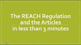 The EU REACH Regulation and the Articles