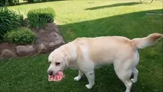 Uncle is very, very bad!!!