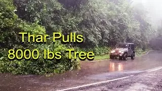 Thar Pulls 8000 lbs Tree