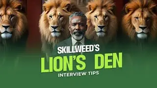 Lions Den Interview-3rd Party Risk Analyst