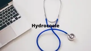 S8E2 what is a Hydrocoele?