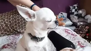 Массаж для Дуси