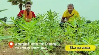 Success Story Seasame Seed, Knapsack Sprayer & Vegetable Kit