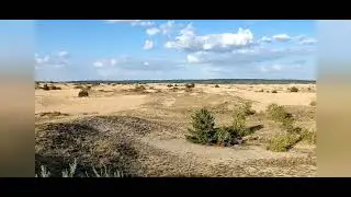 Пустыня в Ростовской обл