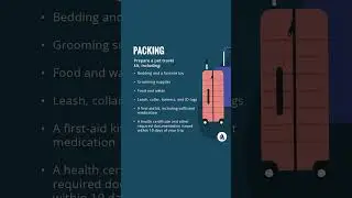 Traveling with Pets | Merck Veterinary Manual