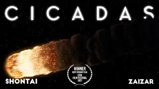 Cicadas | Short Film