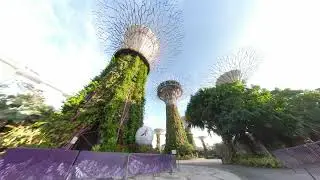Cycling through Gardens By The Bay