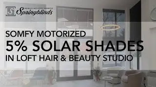 SPRINGBLINDS: SOMFY Motorized 5% Solar Shades in Loft Hair & Beauty Studio