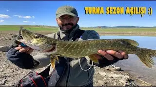 Fishing with Nature | Light Spin Pike Hunt | Pike Hunt
