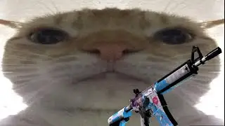 csgo bits