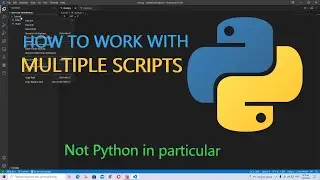 How to Add Multiple Scripts in VS Code