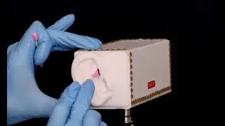 ASMR Relaxing Ear Cleaning & Ear Attention [NO TALKING]