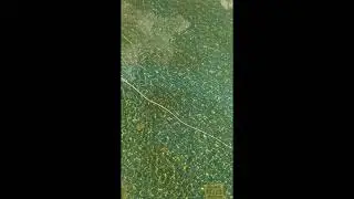 Робот пылесос