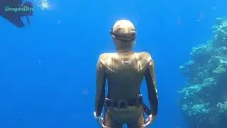 Funfreediving. Фридайвинг в Дахабе