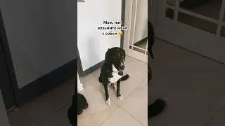 НУ ПОЖАЛУЙСТА 🥹 