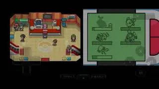Pokémon Renegade Platinum - Route 204