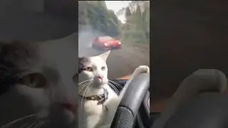 Touge drift Cat S15 Silvia