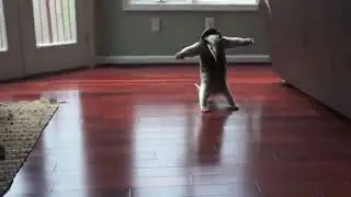 Киборг