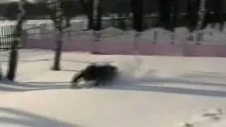 MAD ЛЕХА