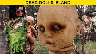 Most Dangerous Islands In The World