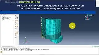 ABAQUS Tutorial | FE Analysis of Bone Tissue Generation using USDFLD subroutine