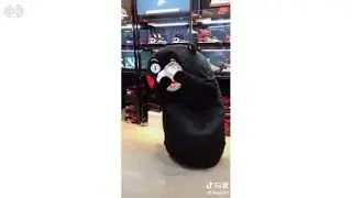 Gấu Lầy Phát Tờ Rơi