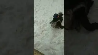 если что он в порядке