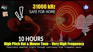 🐭High Pitch Rat & Mouse Tone - Very High Frequency Ultrasonic Sound | 10 Hours for Home & Apartement