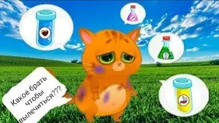 Кот Бубу на канале 