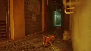 wtf