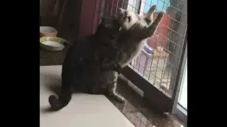 изнасилование