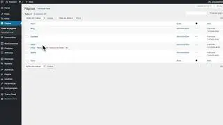 Como Criar as Páginas do seu site no Wordpress